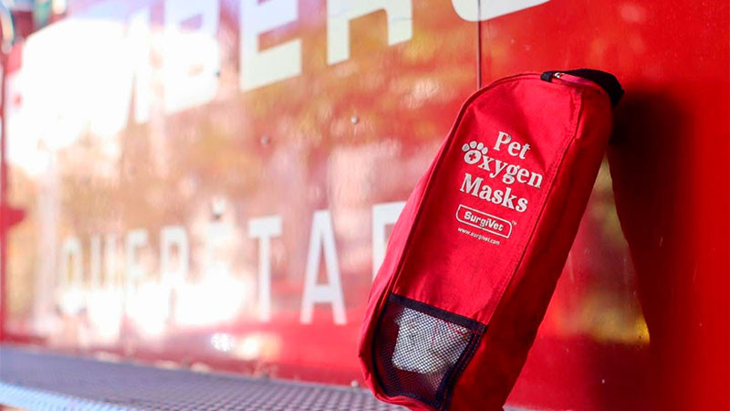 Bomberos Querétaro: Salvando vidas, ¡porque las mascotas también son familia!