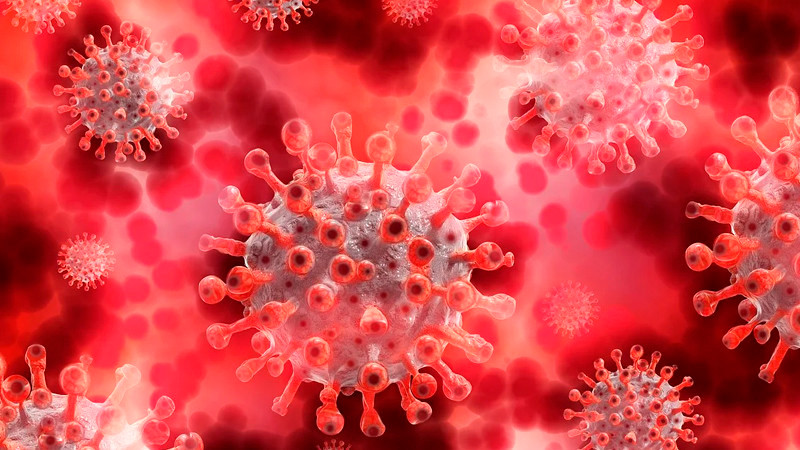 En México hay 6.7 casos de sarampión por cada 100 mil habitantes, desglosa Kershenobich