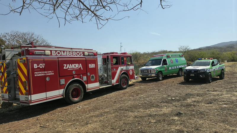 Adulto mayor resulta herido al ser atacado por enjambre de abejas en Zamora, Michoacán