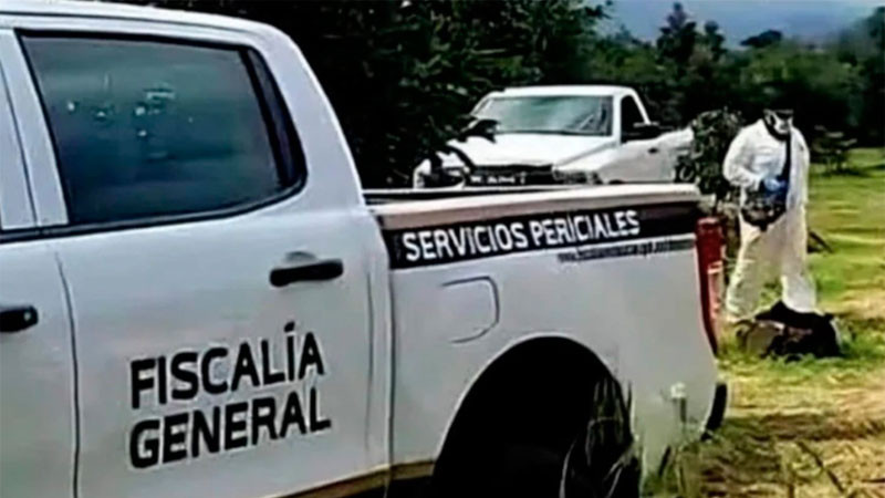 Hombre pierde la vida al sufrir descarga eléctrica mientras realizaba labores en el campo en una comunidad de Múgica, Michoacán