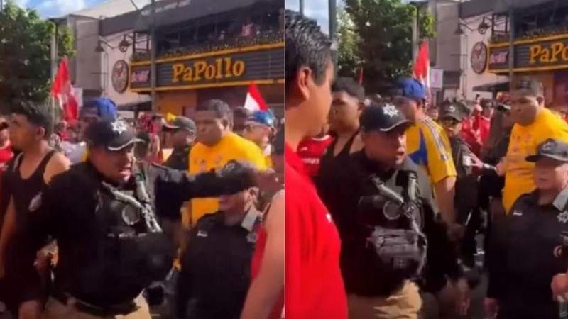 Video exhibe agresión policial contra aficionado durante final en el Nemesio Diez